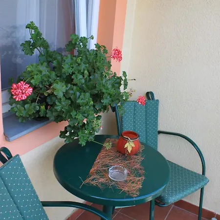 Sun Apartment *